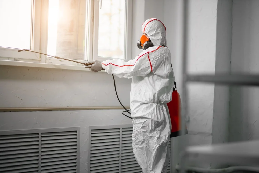 Professional mold remediation services in Beech Bottom, WV